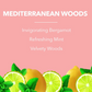 Fabulosa Pet Urine Destroyer Mediterranean Woods 500ml - Limited Edition